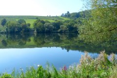 Suedtirol2014-Mosel-Elsass-bild08