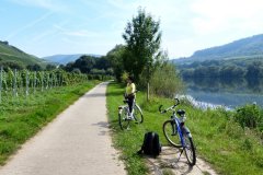 Suedtirol2014-Mosel-Elsass-bild09