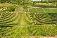 Suedtirol2014-Mosel-Elsass-bild23