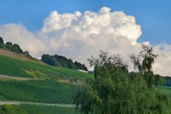 Suedtirol2014-Mosel-Elsass-bild25