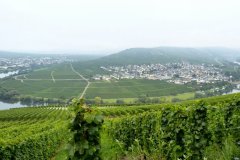 Suedtirol2014-Mosel-Elsass-bild29