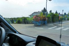 Suedtirol2014-Mosel-Elsass-bild33