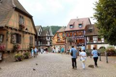 Suedtirol2014-Mosel-Elsass-bild39