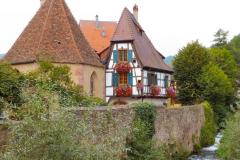 Suedtirol2014-Mosel-Elsass-bild40