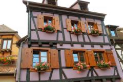 Suedtirol2014-Mosel-Elsass-bild41
