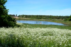 Suedschweden-Aehus-Insel-Oeland-bild01
