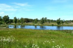 Suedschweden-Aehus-Insel-Oeland-bild02