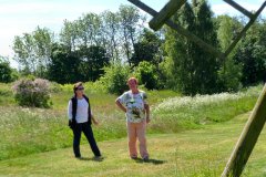 Suedschweden-Aehus-Insel-Oeland-bild07