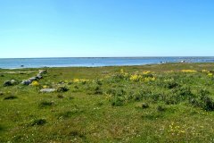 Suedschweden-Aehus-Insel-Oeland-bild16