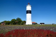 Suedschweden-Aehus-Insel-Oeland-bild17