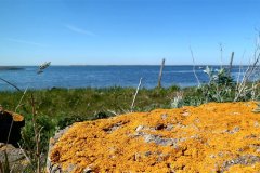 Suedschweden-Aehus-Insel-Oeland-bild18