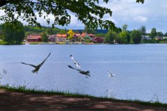 Suedschweden-Graenna-Tiveden-bild01