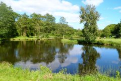 Suedschweden-Roneas-Ry-bild04