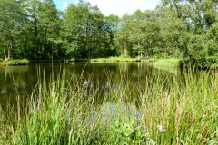 Suedschweden-Roneas-Ry-bild06