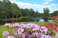Suedschweden-Roneas-Ry-bild07
