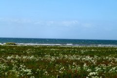 Suedschweden-Rueegen-Trelleborg-bild09