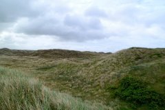 Suedschweden-Ry-Ribe-bild03