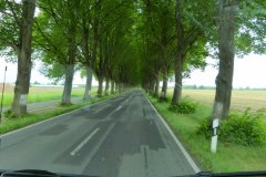 Europa-Schweiz-Richtung-Ruegen-bild20