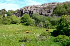 Suedschweden-Uddevalla-Fjaellbacka-bild15