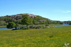 Suedschweden-Uddevalla-Fjaellbacka-bild20