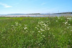 bild6