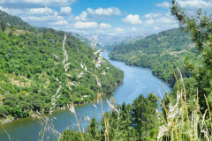 Nordspanien-Douro-P1000813