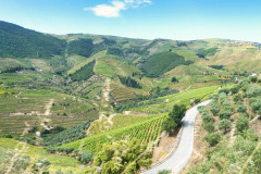 Nordspanien-Douro-P1000840