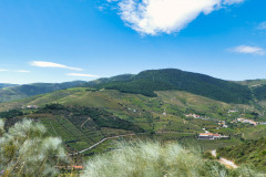 Nordspanien-Douro-P1000847