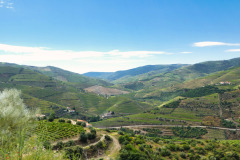 Nordspanien-Douro-P1010002