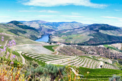 Nordspanien-Douro-P1010011