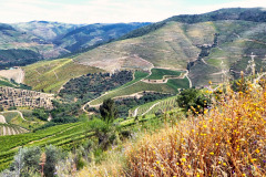 Nordspanien-Douro-P1010014