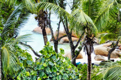 Seychellen09-11-13-pic22