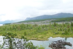 DSC01551