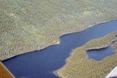 28