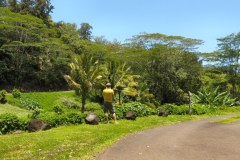 USA-Hawaii-Big-Island-North-pic02