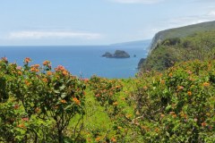 USA-Hawaii-Big-Island-North-pic03