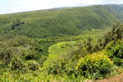 USA-Hawaii-Big-Island-North-pic06