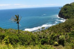 USA-Hawaii-Big-Island-North-pic07