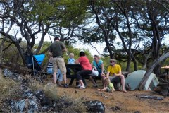 USA-Hawaii-Big-Island-North-pic09