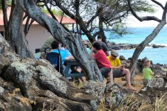 USA-Hawaii-Big-Island-North-pic11