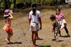 USA-Hawaii-Big-Island-North-pic15