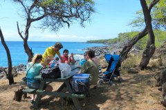 USA-Hawaii-Big-Island-North-pic18