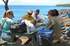 USA-Hawaii-Big-Island-North-pic19