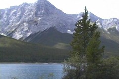 pic101