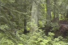 pic23