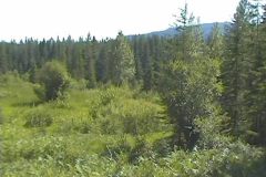 pic25