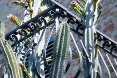 0006_G