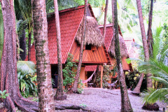 bild12