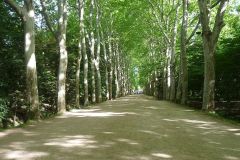2-pic07