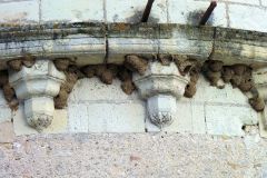 2-pic09